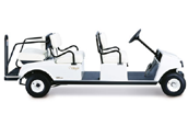 6 Seat Buggy